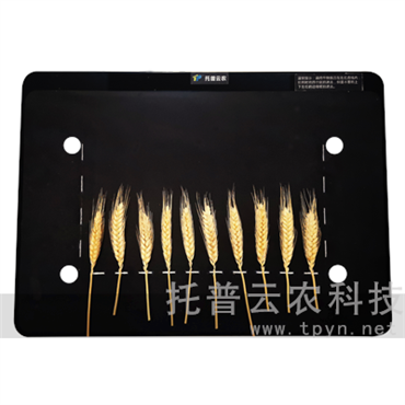 麥穗形態(tài)測量儀